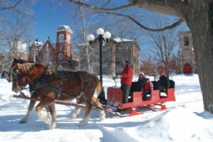 Horsedrawn sleigh